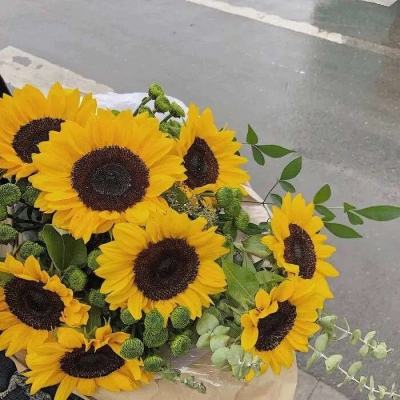 金年会app下载入口截图