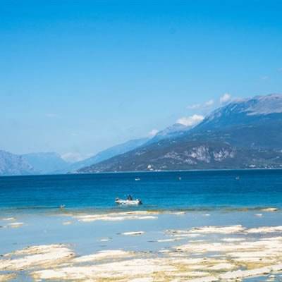 ManBetx万博全站APP最新版