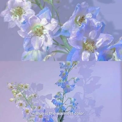 BO半岛综合app安全下载