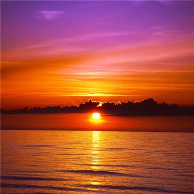 乐鱼官方手机app下载截图