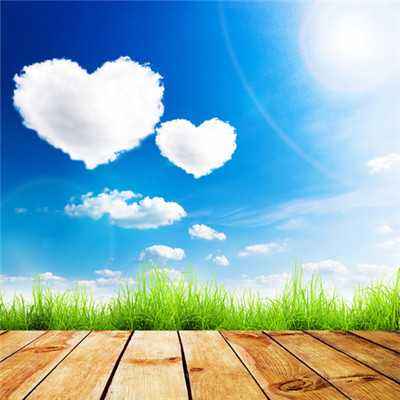 网赌软件在线下载