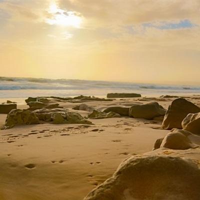 乐发ll彩票app下载截图