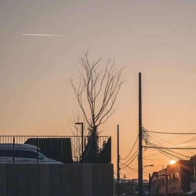 乐发ll彩票app下载