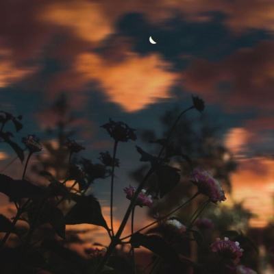 亚虎娱乐下载手机版