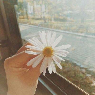 皇冠hg8868新版点此进入