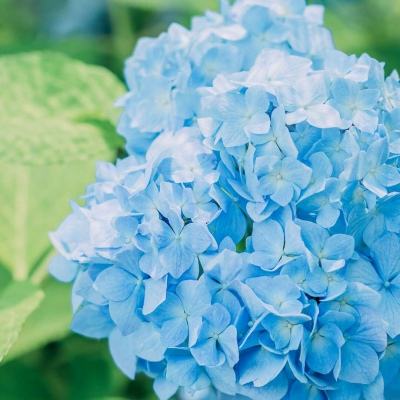 kaiyun下载-登录入口