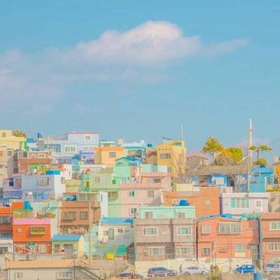 乐鱼娱乐app官网下载