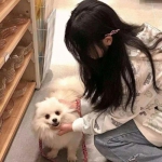 澳门人威尼斯3966